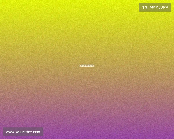 国家篮球赛赛事时间表